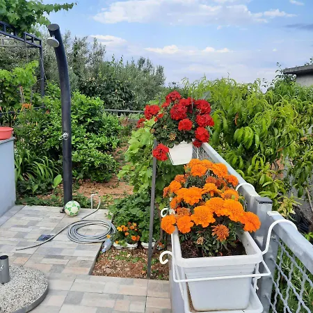 Mare Apartment *