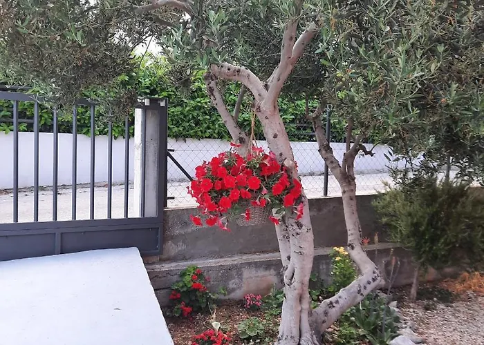 Mare トロギール