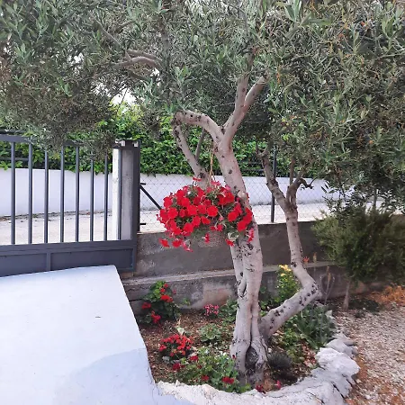 Mare Τρογκίρ